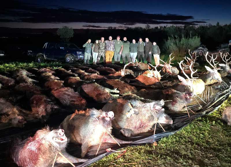 Resultado Montería Los Valles 2025 Sierra Ibérica